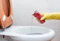 Comment enlever les taches jaunes dans les toilettes ? Des astuces 100 % écolos et efficaces