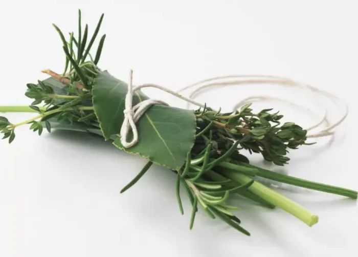 comment conserver les feuilles de laurier avec dautres herbes en bouquet
