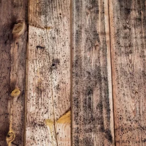Comment enlever les taches de moisissure sur du bois naturellement et définitivement ?