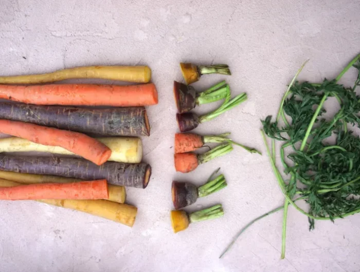 comment faire repousser le haut des carottes multicouleurs