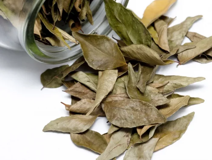 comment parfumer la maison avec des feuilles de laurier feuilles dansun bocal