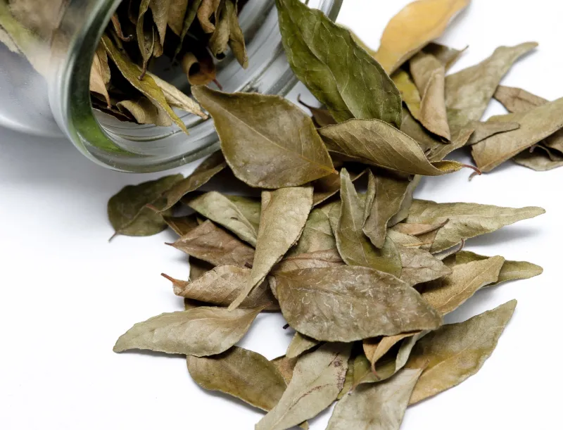 comment parfumer la maison avec des feuilles de laurier feuilles dansun bocal