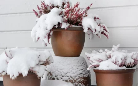 comment protéger les pots du gel exemples d hivernage pot protection