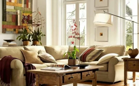 comment purifier l air de la maison naturellement astuce vaste sejour aux plantes vertes