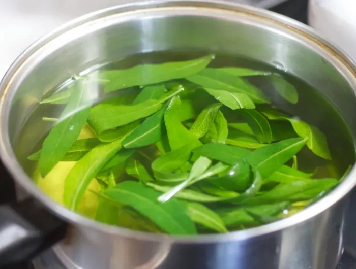 comment utiliser les feuilles de laurier tisane dans une casserole