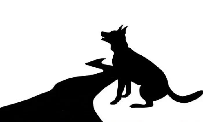 diagramme en noir sur blanc avec un chien au bord du chemin