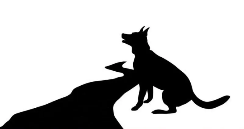 diagramme en noir sur blanc avec un chien au bord du chemin