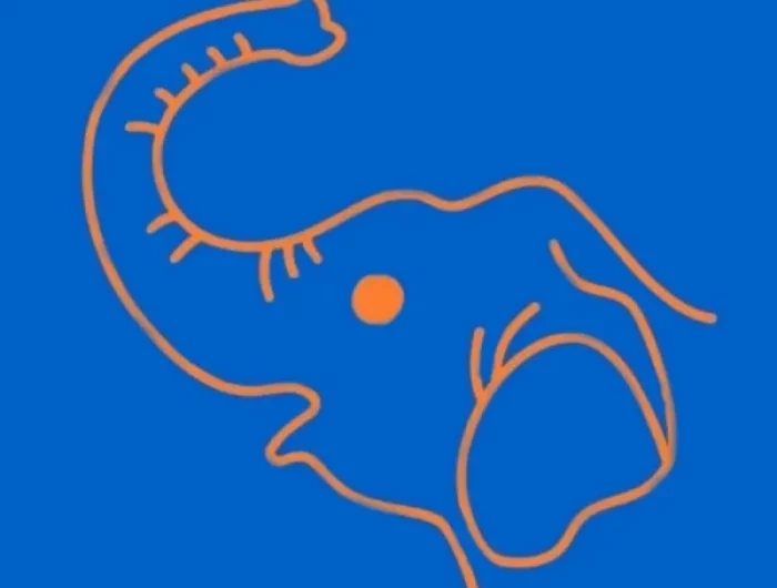 elephant et sa tete dessinee aux traits oranges sur fond bleu