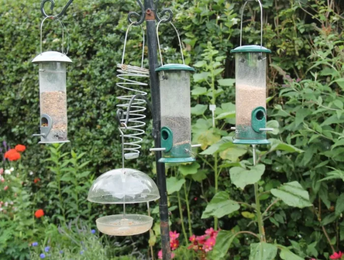 essayer different types de mangeoire oiseaux idée fabriquer une mangeoire attier les oiseaux dans le jardin