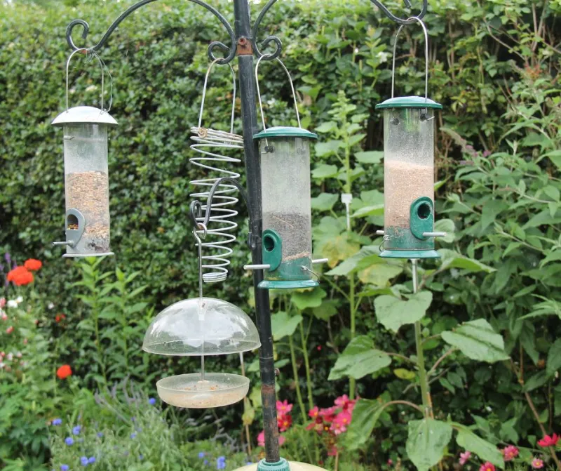 essayer different types de mangeoire oiseaux idée fabriquer une mangeoire attier les oiseaux dans le jardin