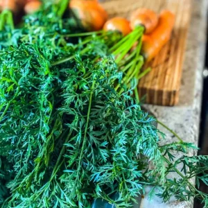 Que faire avec des fanes de carottes fraiches : usages et bienfaits