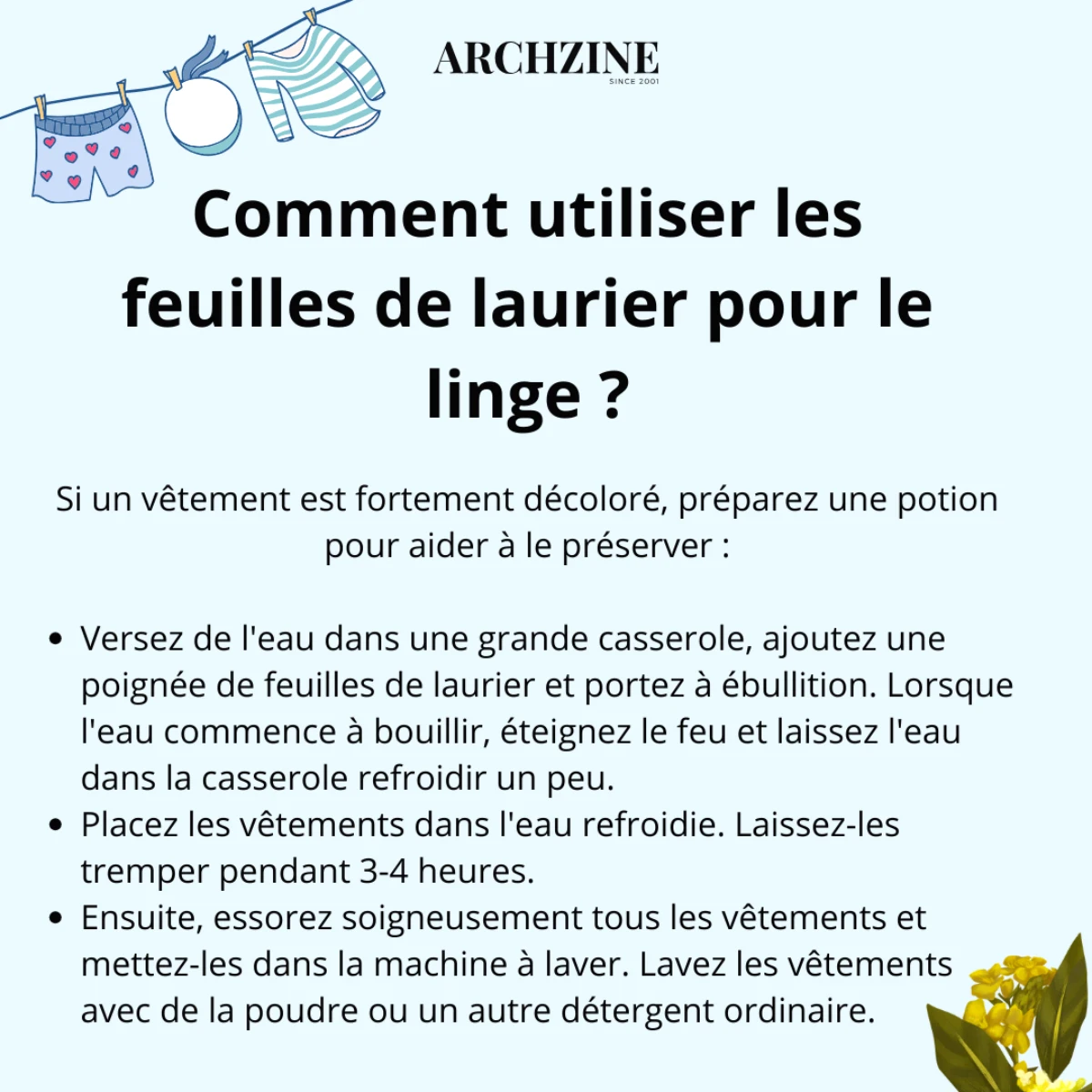 feuille de laurier linge illustration et instruction
