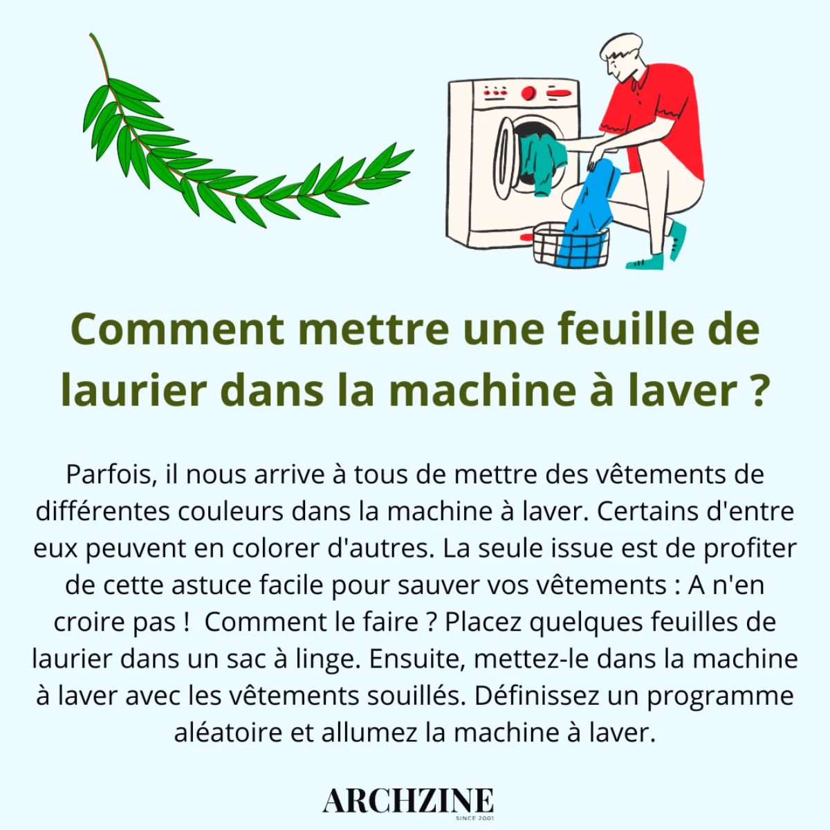 feuille de laurier machine a laver