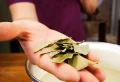 Les feuilles de laurier dans le lave-linge pour enlever les taches et raviver les couleurs : astuces de grand-mère