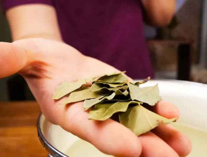 feuilles de laurier dans le lave linge une main met des feuilles de laurier dans une casserole blanche