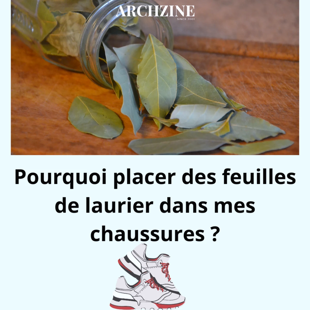feuilles de laurier dans les chaussures