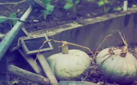 jardiner en novembre taches à effectuer travaux de jardinage