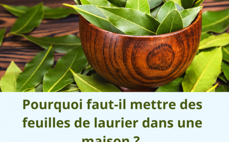 mettre des feuilles de laurier dans une maison