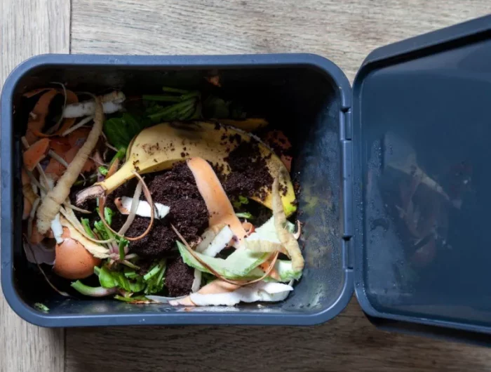 mettre le couvercle du bac à compost pour se débarrasser des moucherons