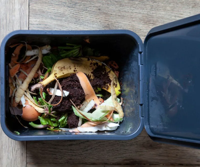 mettre le couvercle du bac à compost pour se débarrasser des moucherons