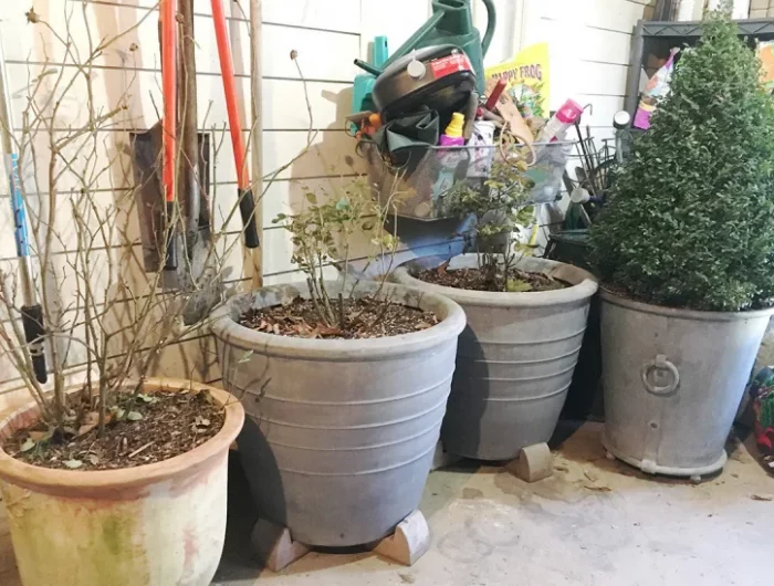 mettre les pots sur des cales de bois pour améliorer le drainage astuces protection hiver plantes