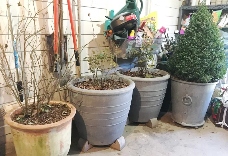 mettre les pots sur des cales de bois pour améliorer le drainage astuces protection hiver plantes