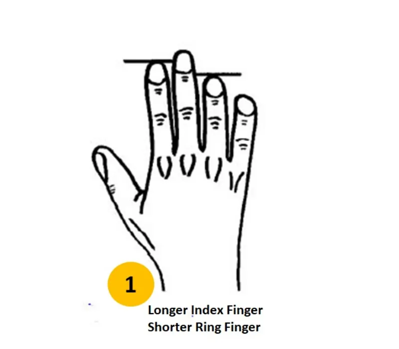 personnalité selon la longueur des doigts index plus long que lannuaire