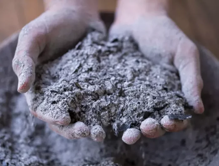 que faire de la cendre de cheminée utilisation dans le jardin et sur gazon comme engrais riche en potassium manganese calcium