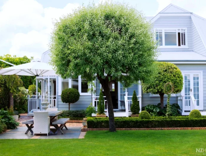 quel arbre a feuillage persistant planter devant une maison