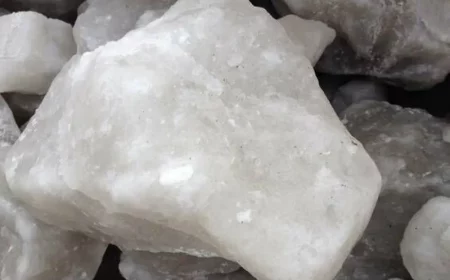 quel sel utiliser pour absorber lhumidité sel de gemme