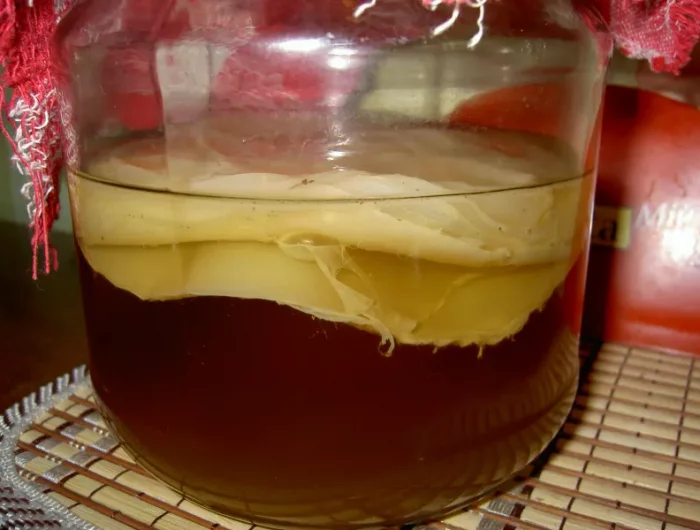 quelle est ladifference vinaigre pommes et cidrevinaigre en fermentation serviette rouge
