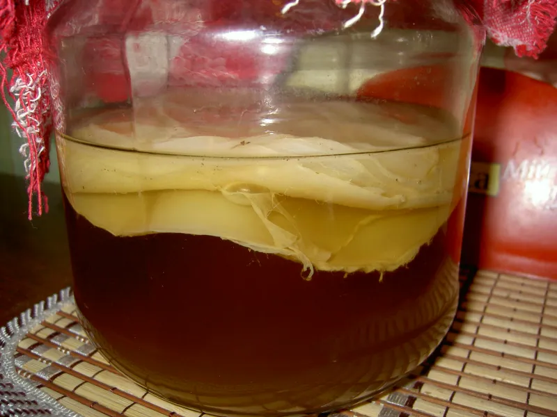 quelle est ladifference vinaigre pommes et cidrevinaigre en fermentation serviette rouge