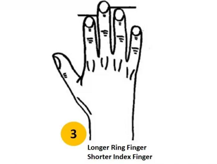 signification de la longueur des doigts index moins que l annuaire