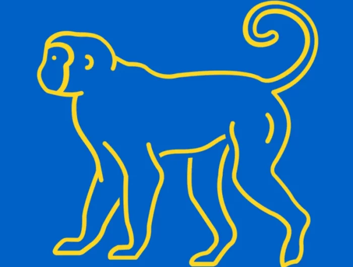 singe dessine aux traits jaunes sur fond bleu