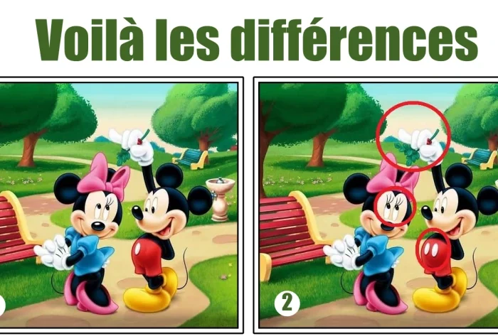 solution jeu des erreurs reponse differences images personnages mickey minnie