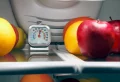 Température idéale frigo et congélateur : guide simple pour préserver la salubrité des aliments