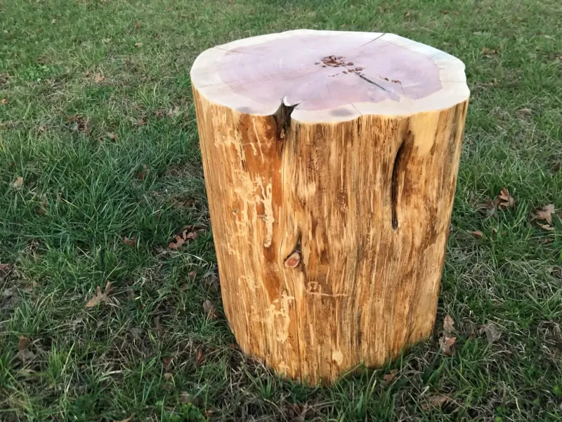 tronc d arbre comment le transformer en meuble