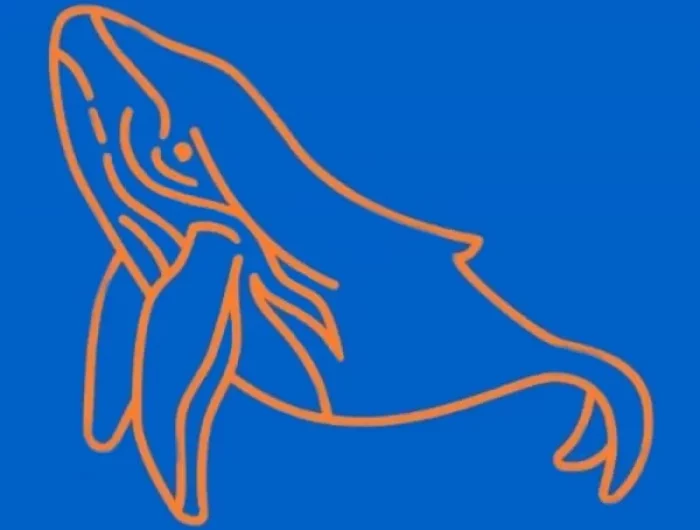 une baleine dessine aux traits oranges sur fond bleu