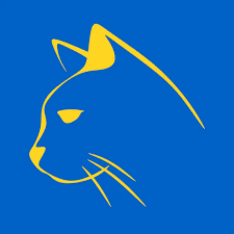 une tete de chat dessine aux traits jeunes sur fond bleu