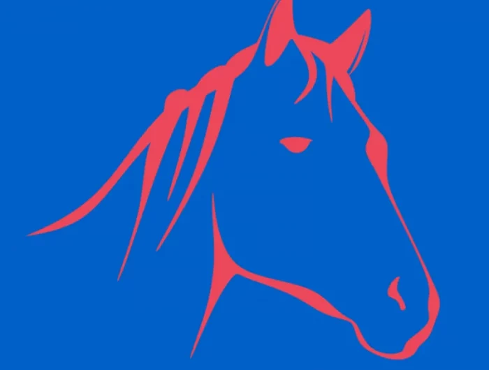 une tete de cheval et son coup dessines aux traits rouges sur fond bleu