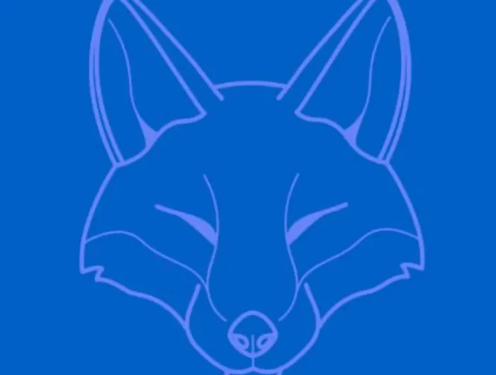 une tete de renard dessine aux traits gris claires sur fond bleu
