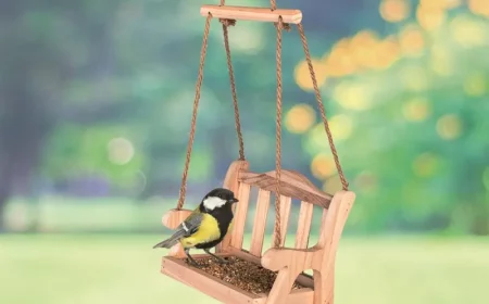 oiseau sur un mangeoire en forme de banc en bois