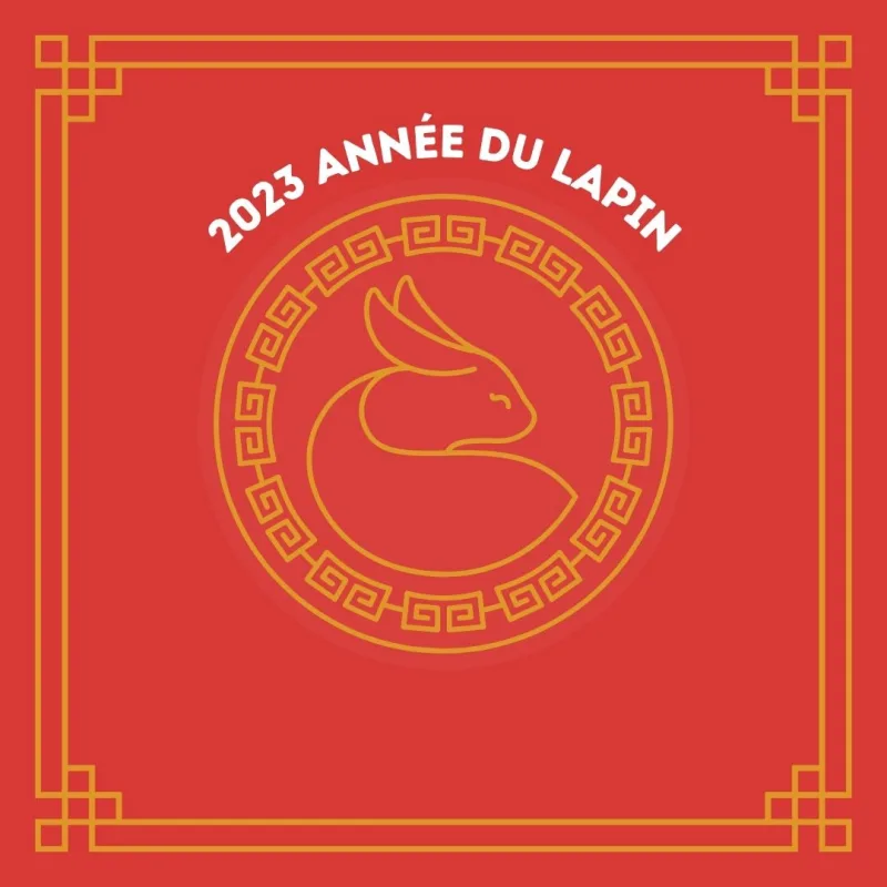 année 2023 astrologie chinoise année chinoise du lapin santé amour chance