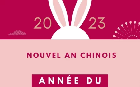 année 2023 du lapin quels sont les signes les plus chanceux guide pratique astrologie