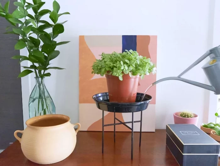arrosage des plantes vertes d en bas appartement table