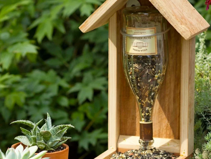bouteille de vin remplie de grains a oiseaux accrocher a une mengeoire en bois et deux petits pots a gauches
