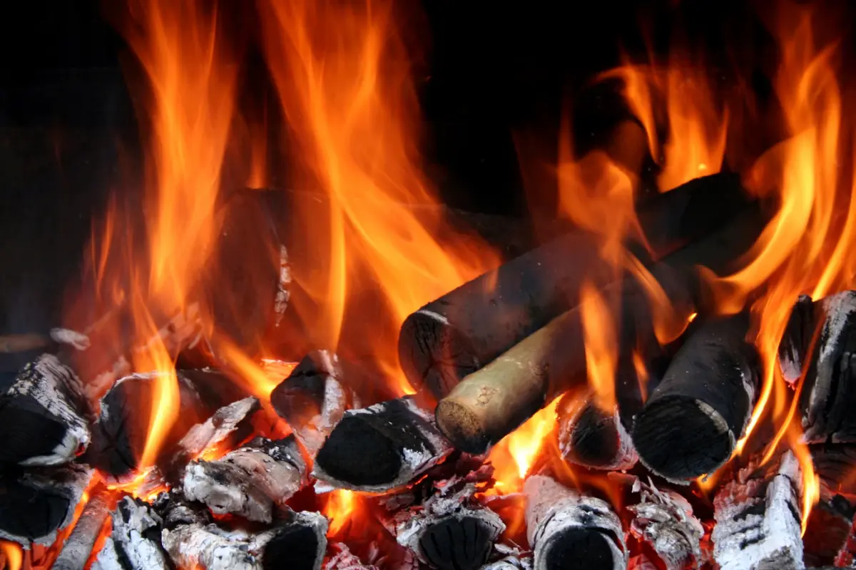 brulure bois humide ou sec conseils entretien cheminee