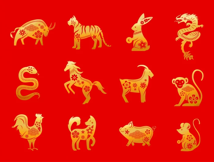 chiffres apporteront chance et bonheur a chaque signe du zodiaque chinois