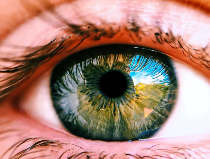 comment avoir une meilleure vue oeil vert