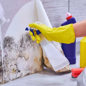 Comment se débarrasser de la moisissure sur les murs de manière permanante ? Solutions testées et approuvées !